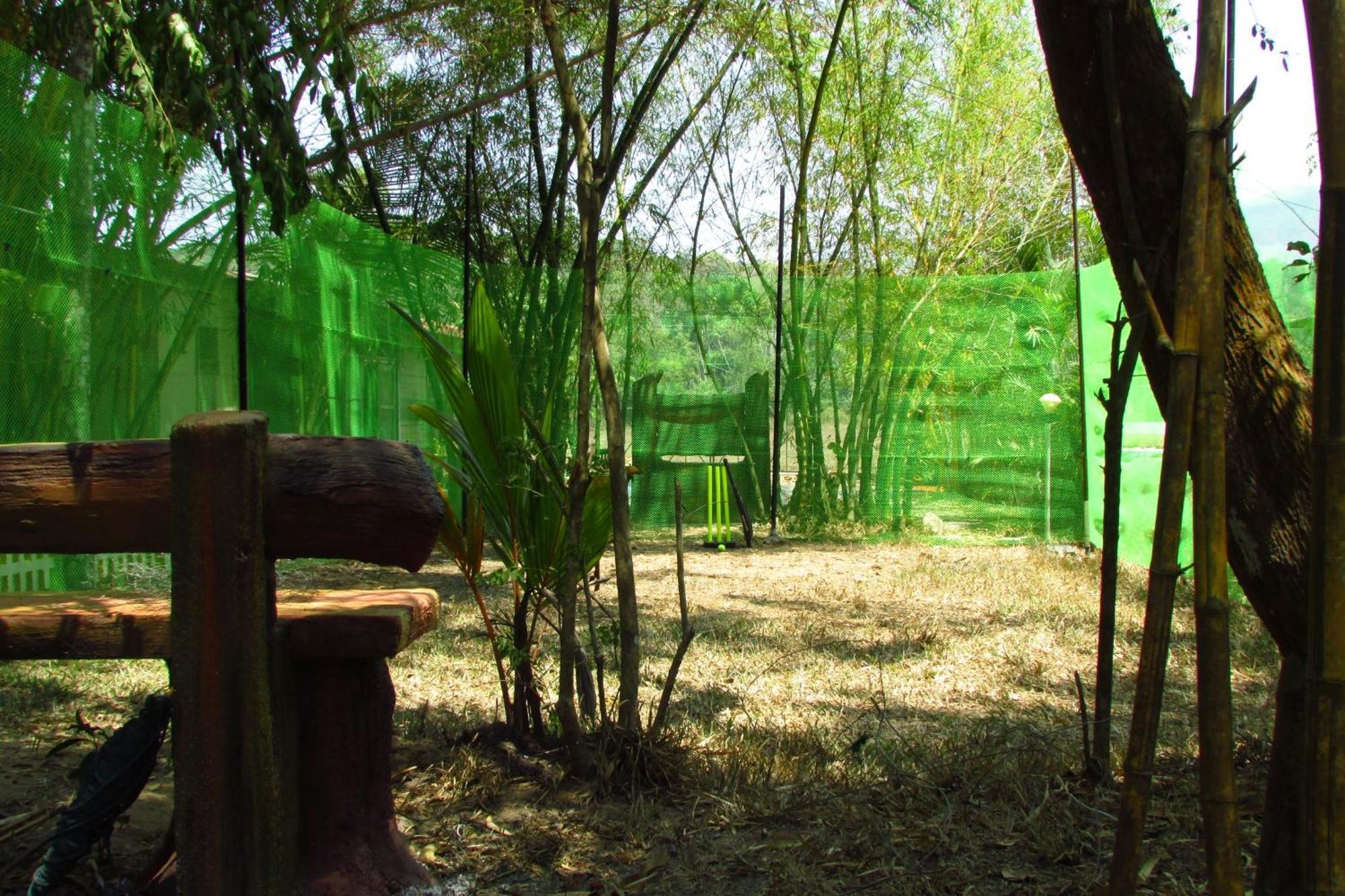 Greenwoods Nature Camp Mudumalai Exterior foto